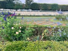 A walk through Jardin des Tuileries