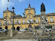 Barcelos town hall - and lots of birds