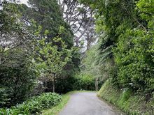 Wellington Botanic Garden