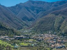 Plenty of grape vines there too.