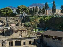 Vesuvius looms in the background...
Exotic tree species are found throughout the site nowadays, in a successful effort to re-create the authentic setting and atmosphere.
