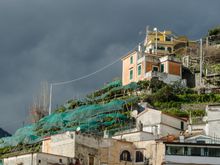 Other views also soon emerge. All of them, every last one, includes the green, off-season gauze-wrapping done to protect all citrus groves here.