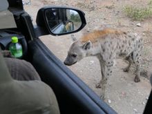 Warning: Objects not in the mirror actually are closer than you think.