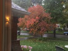 Trying to catch the snow; big flakes but they’re not showing up.