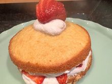 Tdudette-  Here is a picture of the sample cake.  I need to make sure the whipped cream is a bit stiffer and dust the cake with powdered sugar.  