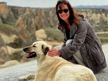 How did I forget the pet landscaping?