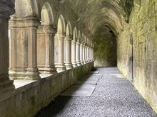 Quin Abbey, preserved cloister