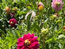 So many colours! 