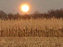 Brilliant Orange when it first rose, not sure if my phone can capture it's brilliance.