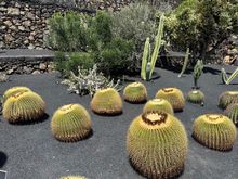 Note lava wall in background....placement of stones....