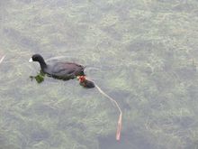 Like this one ..........