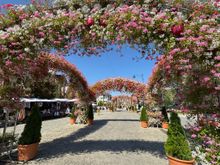 The very pretty main pedestrianized street line with arches of flowers. 