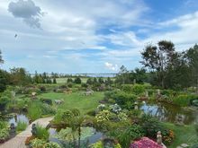 The amazing gardens at the Dunes Art Gallery