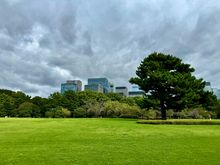 Edo Castle grounds 