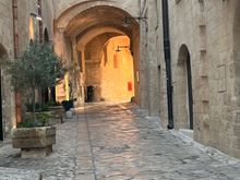 Bring shoes that grip!