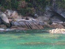 Seal Lounging on a Rock
