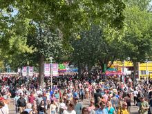 it was elbow to elbow except for a roped off area, like the one in front of me. The lines for cheese curds were about 1/2 this many people. Crazy long.