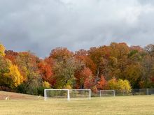 Not sure if these are planted trees or natural as it's in a long ago developed part of the Twin Cities suburb of Minitrista.