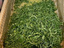 We learned that most cooks get their kale for the soup at the market, where the vendors have industrial slicing machines.