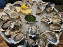 Oysters!