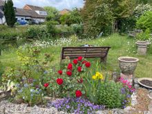 This was actually in front of someone's house looks out on a little part of the waterway, so cool.  Get my book, I'm staying here!