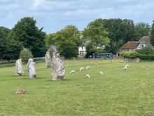 Coming down the hill at the end of the tour