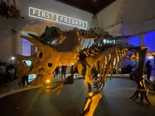 First Fridays at the Natural History Museum of Los Angeles