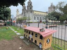 7 of June park’s cat houses