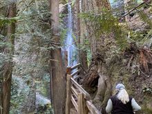 On the trail to the falls.