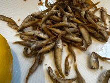 Fried tiny anchovies, served with lemon; I'm not a big anchovy fan but these were difficult to stop munching on....