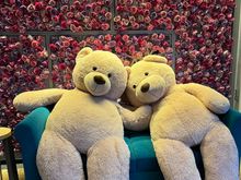 Lobby of The Bled Rose Hotel