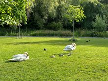 This was in Dublin. I didn’t really love Dublin but it’s where my ship left from so I’m going to be back there for another day and will see the Book of Kells. 