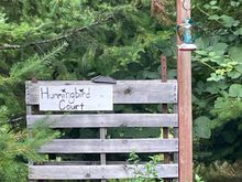 We actually had a pallet instead of a chair for Hummingbird Court, one of the bigger sites.