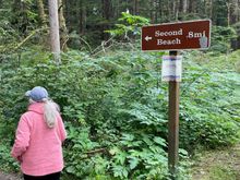 This way, follow me!