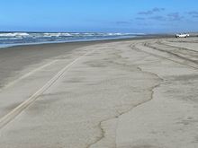 Ok, someone drove on this, I can see the tracks