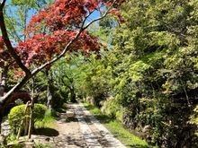 The Philosopher's Path