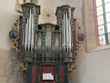 The distinctive green organ - I think it's beautiful!