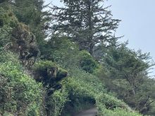 Starting my hike up the head.  At first the path is asphalt then it turns into dirt but still pretty wide.