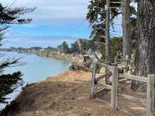 This is where we got to see the dolphin show