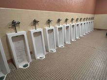 The old ballroom brought back many memories to me. Mrs Z and I had our wedding dance in a ballroom just like this one, but much smaller. This memory will be for the guys.