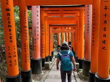 On my down you can see the inscriptions on the back of the torii gates.
