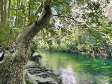 The river really is this emerald green 