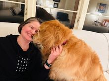 Dogs aren’t allowed on the new sofa, but Lily might be allowed.