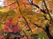 Beautiful colours throughout the hike