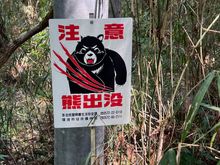Fortunately we did not meet any bears!
