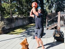 Just don’t take out our neighbors’ new windows.