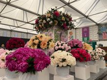Peonies at the Chelsea Flower Show. Good thing I saw them there as they are all done blooming at home. 