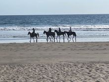 No beach scene is complete without horses