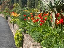 Plas Cadnant