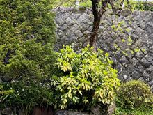 Look closely at the left lower corner for the almost hidden door to the well.